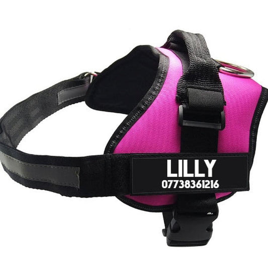 JMT-758538 Adjustable Nylon Pet Chest Harness with Leash in Various Colors and Sizes