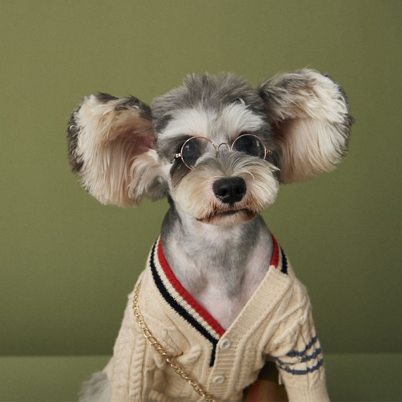 JMT-760138 Trendy Casual Wool Sweater for Dogs - Dark Gray and Apricot Cardigan with Three Bars