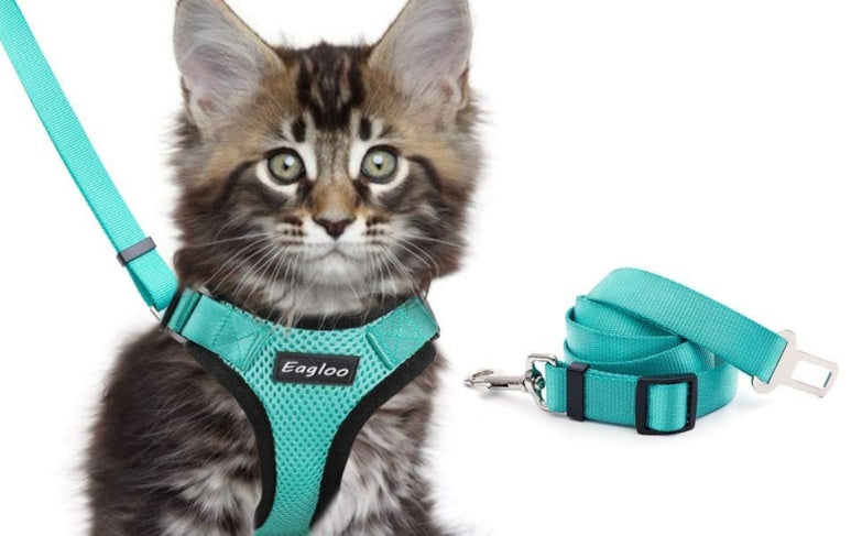 JMT-766602 Adjustable Reflective Soft Mesh Cat Vest Harness with Car Seat Belt Adapter for Kittens and Puppies