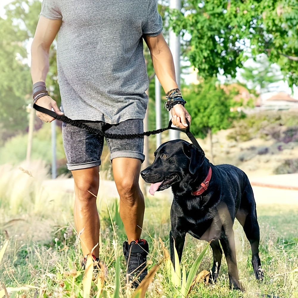 JMT-767754 Heavy-Duty Retractable Leash for Large Dogs - Enhanced Safety with Anti-Burst Technology