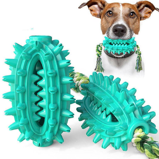 JMT-769866 Durable TPR Dog Toy with Rope Cactus Molar Stick for Chewing and Teeth Cleaning