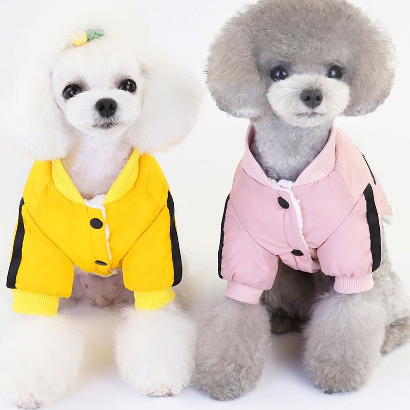 JMT-771338 Casual Windproof Polyester Two-Legged Pet Apparel for Comfort and Style