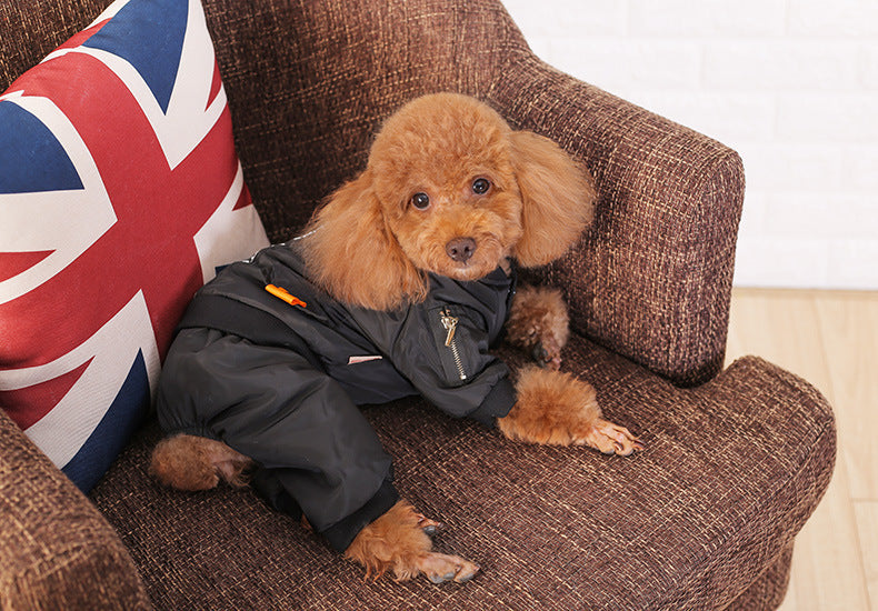 JMT-772490 Cozy Autumn Clothes for Puppies - Four-legged Design with Size Options