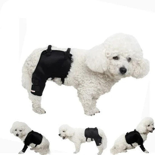 JMT-778954 Dog Knee and Leg Guards for Outdoor Use - Arthritis Support Covers, Multiple Sizes Available