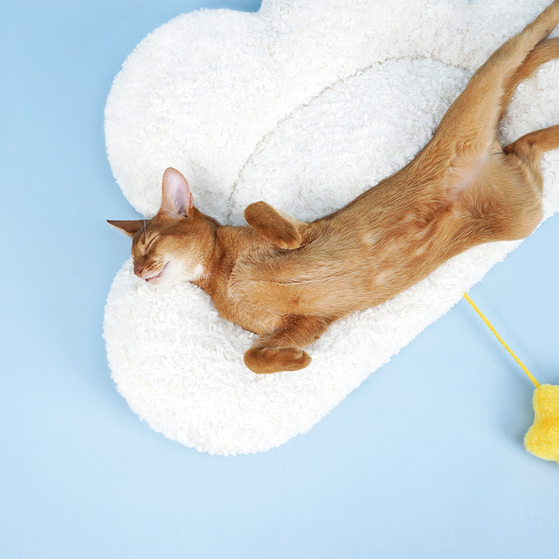 JMT-780234 Cloud Cushion Pet Sleeping Mat for Cats and Dogs, 75x46x9cm, Suitable for Pets Under 20kg