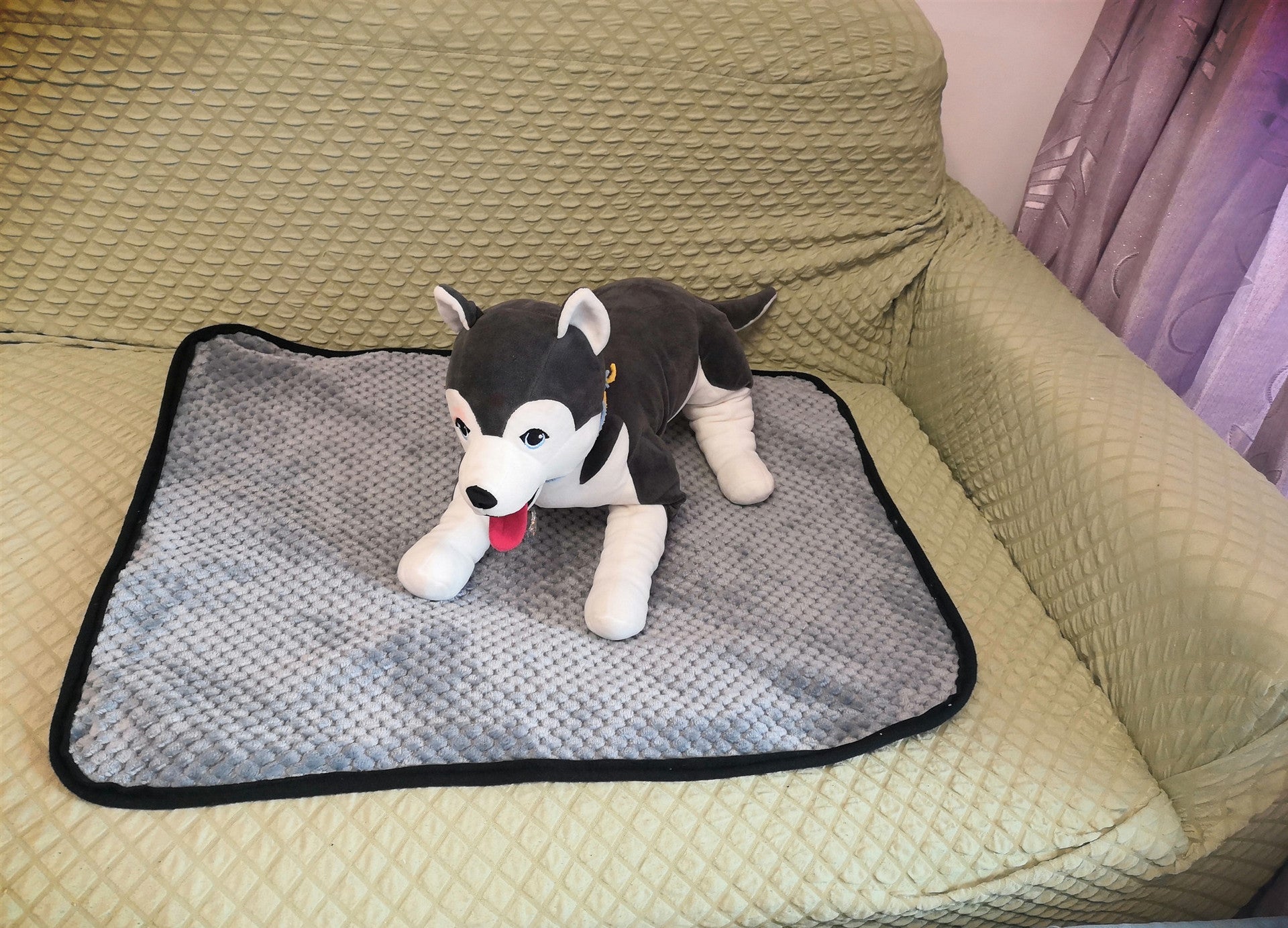 JMT-781386 Absorbent Dog Urine Pads in Multiple Sizes - Eco-Friendly and Recyclable Material