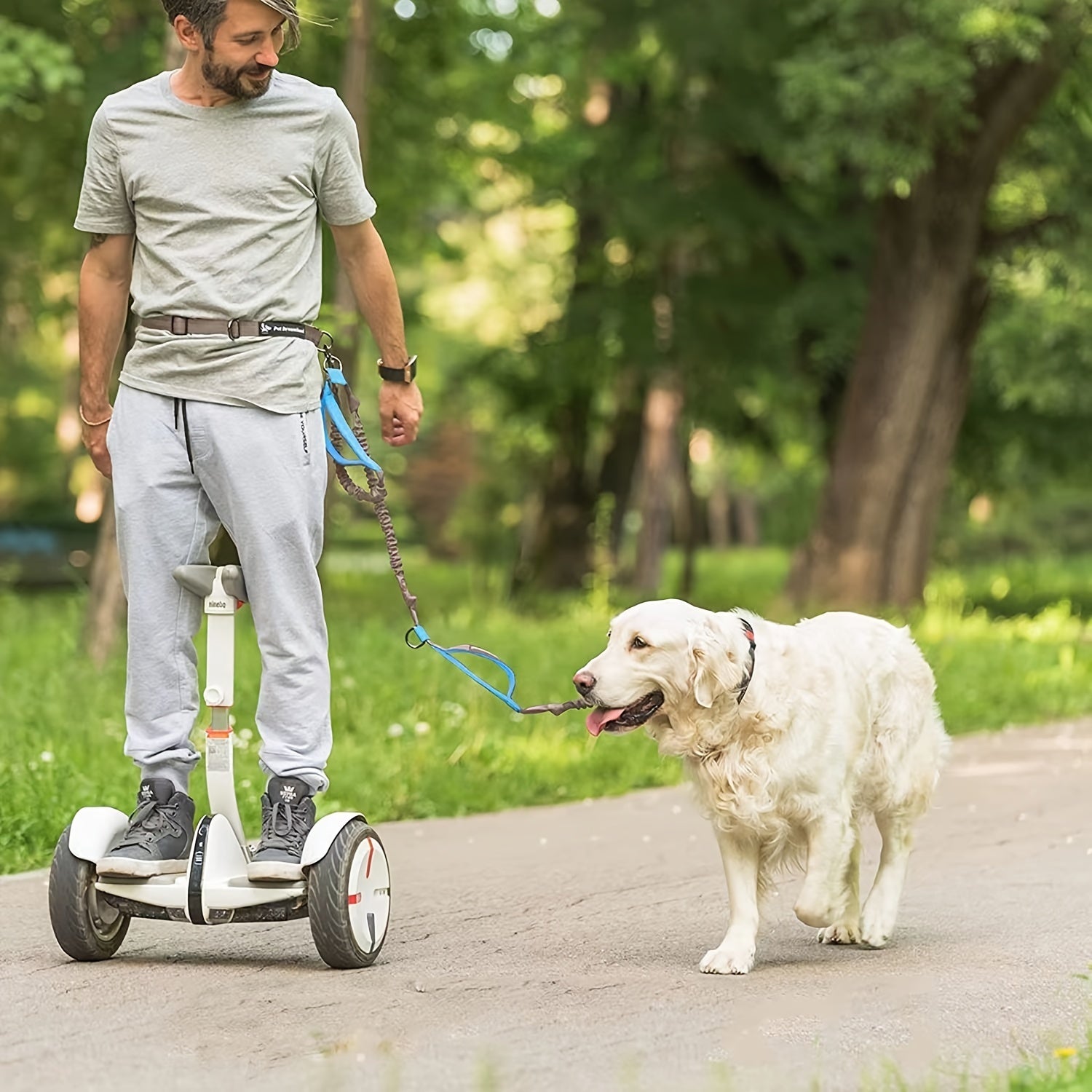 JMT-787018 Adjustable Hands-Free Dog Leash with Durable Nylon Waist Belt for Running and Walking