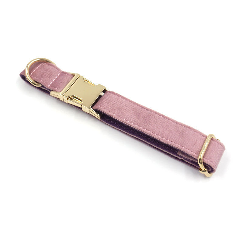 JMT-788170 Creamy Coffee Velvet Dog Collar and Leash Set in Pink and Purple with Gold Buckle