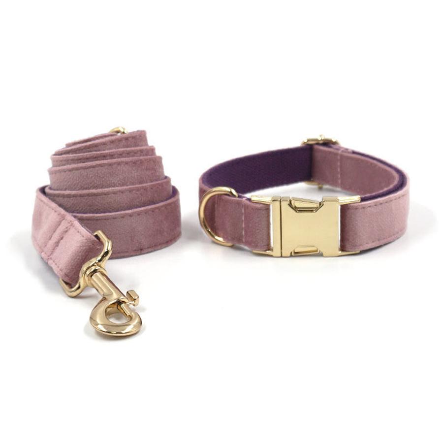 JMT-788170 Creamy Coffee Velvet Dog Collar and Leash Set in Pink and Purple with Gold Buckle