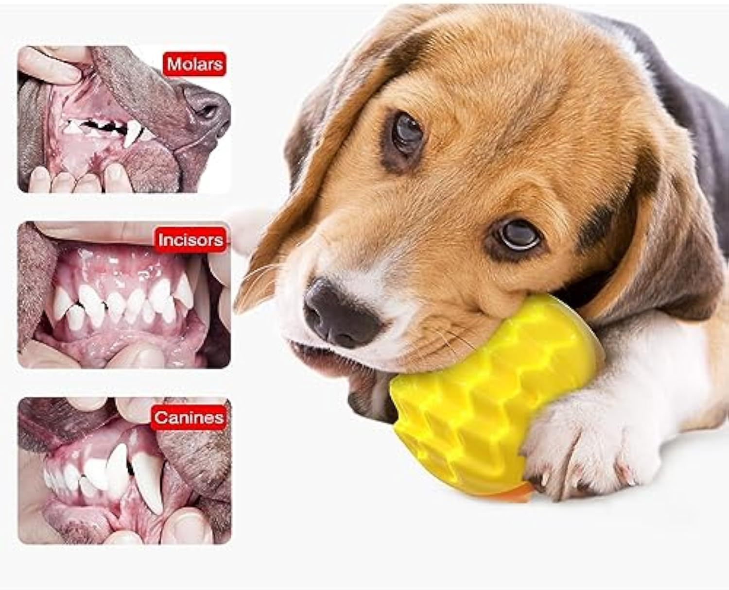 JMT-791114 Durable Squeaky Dog Ball Toy for Aggressive Chewers - Dental Care Design for Healthy Teeth and Gums, Floatable Rubber for Fetch and Play