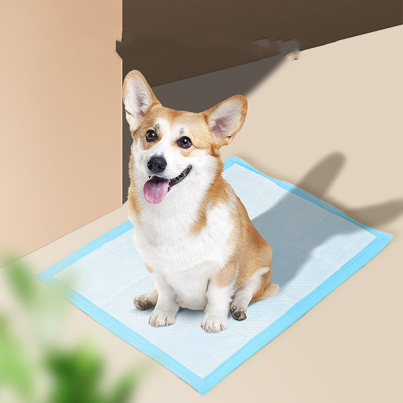 JMT-793674 Absorbent Dog Pad for Pet Hygiene and Mess-Free Cleanup