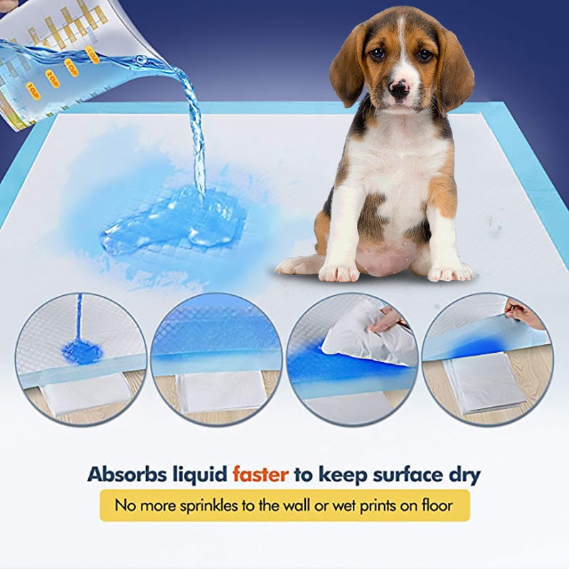 JMT-793674 Absorbent Dog Pad for Pet Hygiene and Mess-Free Cleanup