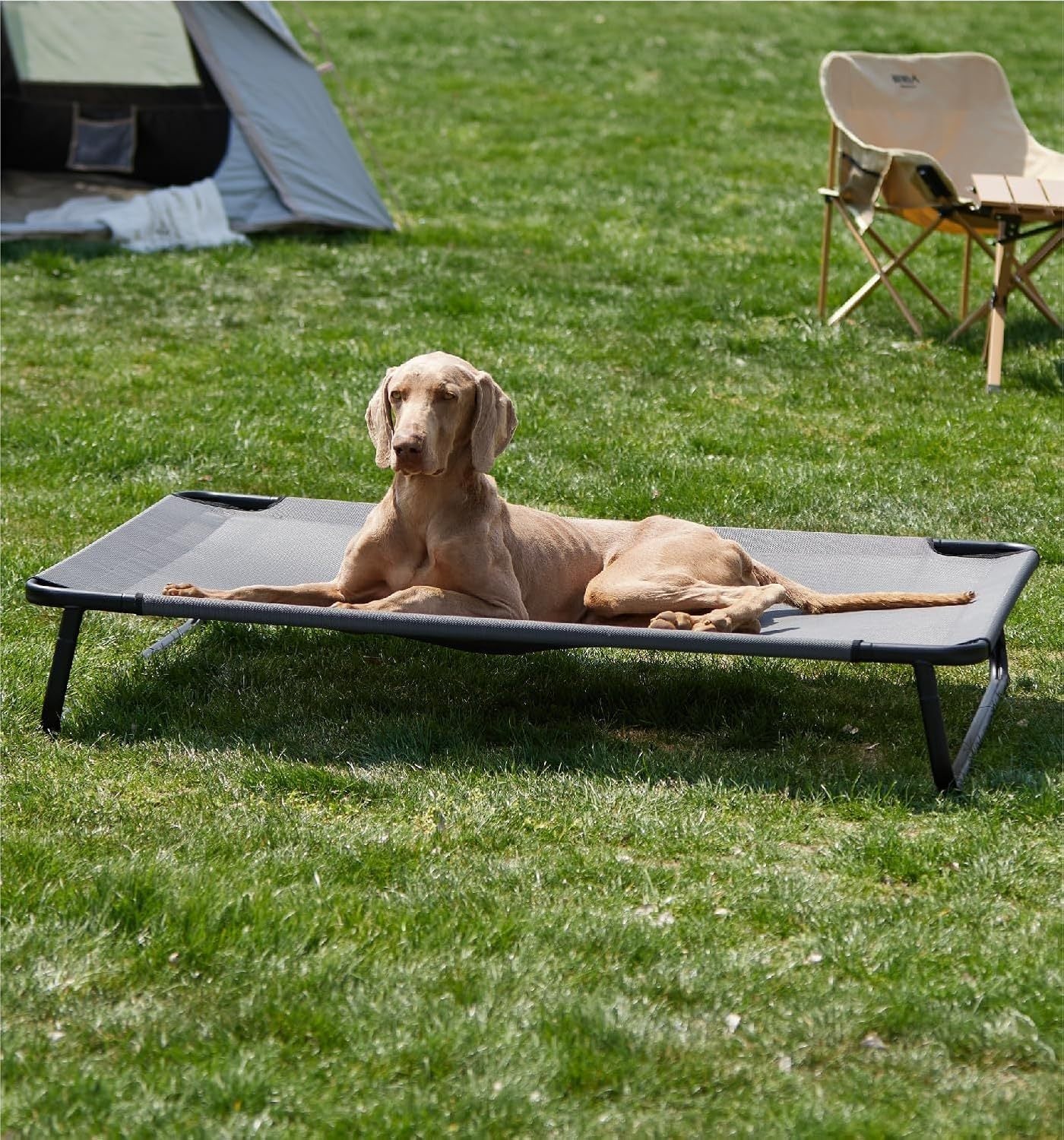 JMT-794442 Elevated Large Dog Outdoor Bed with Adjustable Buckle Legs, Washable Mesh Cover, Non-Slip Feet, Durable, Indoor & Outdoor Use
