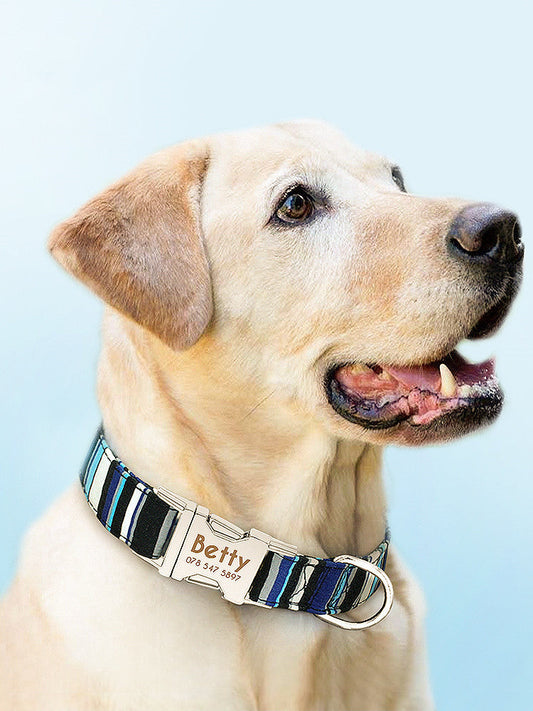 JMT-795082 Reflective Nylon Dog Leash for Medium-Sized Breeds - 1.5m Length, Available in Multiple Colors