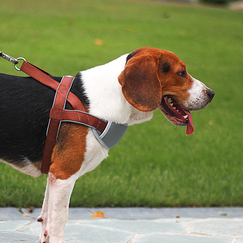JMT-795914 Adjustable Nylon Dog Leash Vest Chest Strap - Available in Red, Blue, Brown and Multiple Sizes