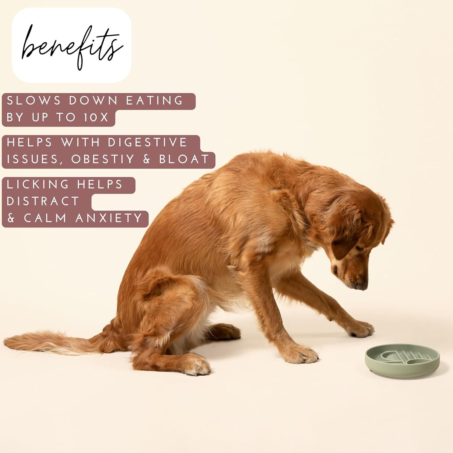 JMT-797706 Slow Feeding Silicone Bowl for Dogs and Puppies - Engaging Lick Mat Design that Reduces Gulping - Dishwasher Safe and Suitable for All Breeds - Promotes Better Digestion