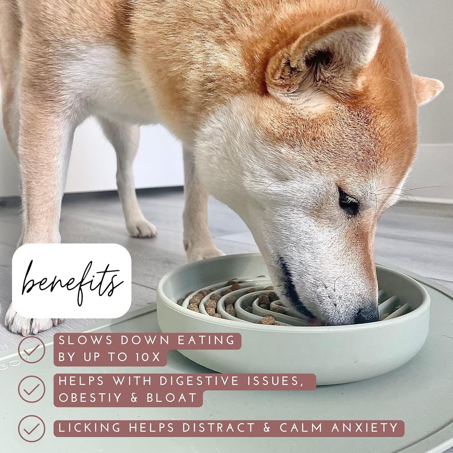 JMT-797706 Slow Feeding Silicone Bowl for Dogs and Puppies - Engaging Lick Mat Design that Reduces Gulping - Dishwasher Safe and Suitable for All Breeds - Promotes Better Digestion