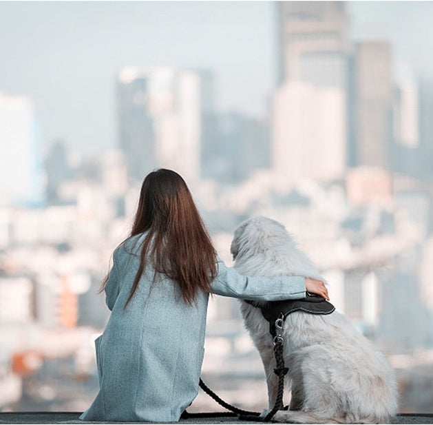 JMT-814026 Explosion-Proof Nylon Chest Harness Leash for Pets - Breathable, Wear-Resistant Design with Locking Buckle for Enhanced Stability