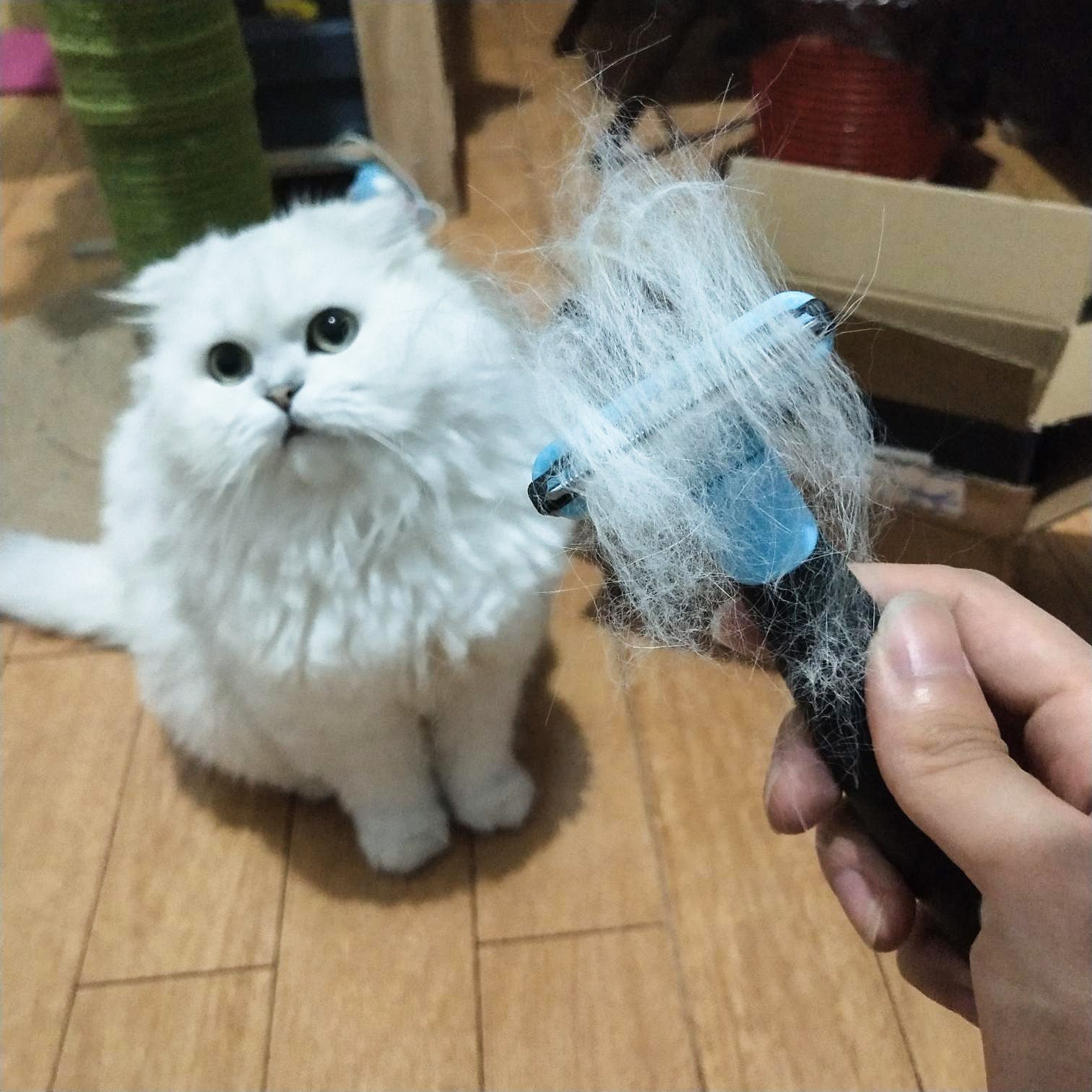 JMT-817226 Pet Hair Removal Comb for Dogs and Cats – Reduces Shedding by 90%