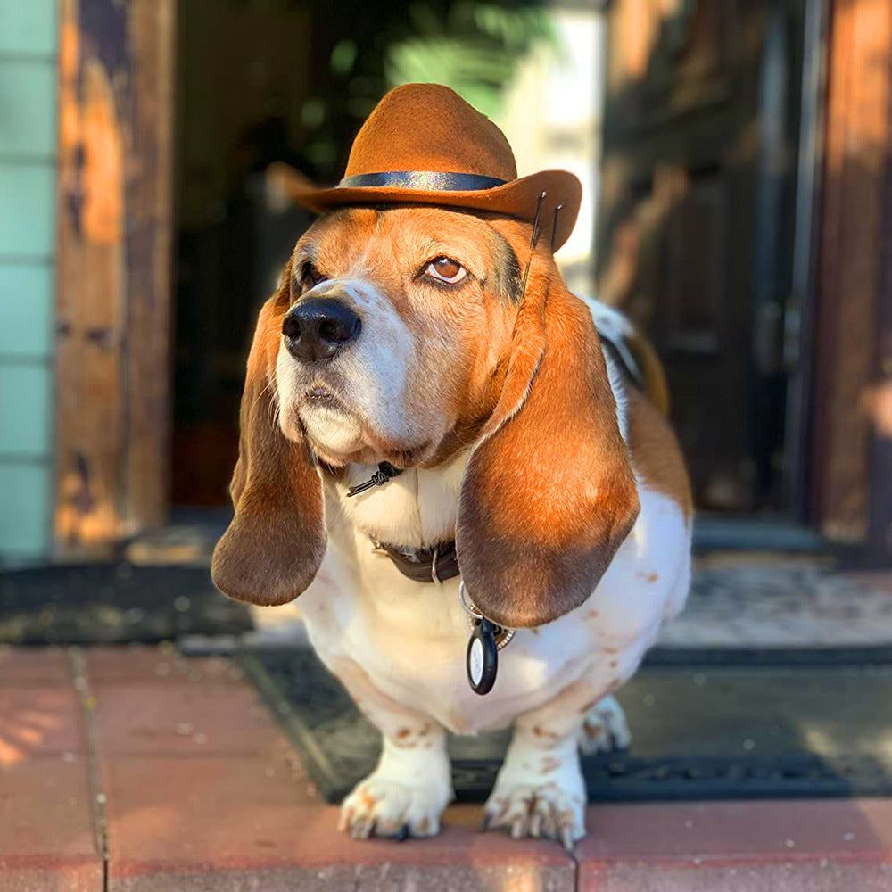 JMT-823562 Adjustable Cowboy Hat for Dogs and Cats - Fun Headwear for Outdoor Adventures and Photo Props