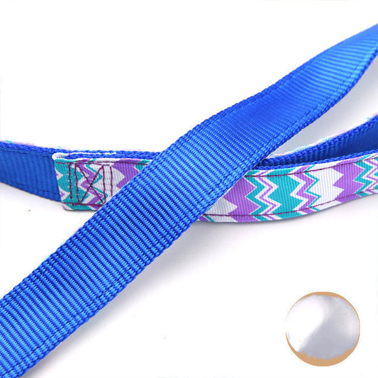 JMT-834442 Colorful Wave Pattern Nylon Dog Leash - 2.5cm x 120cm, Lightweight Pet Traction Belt