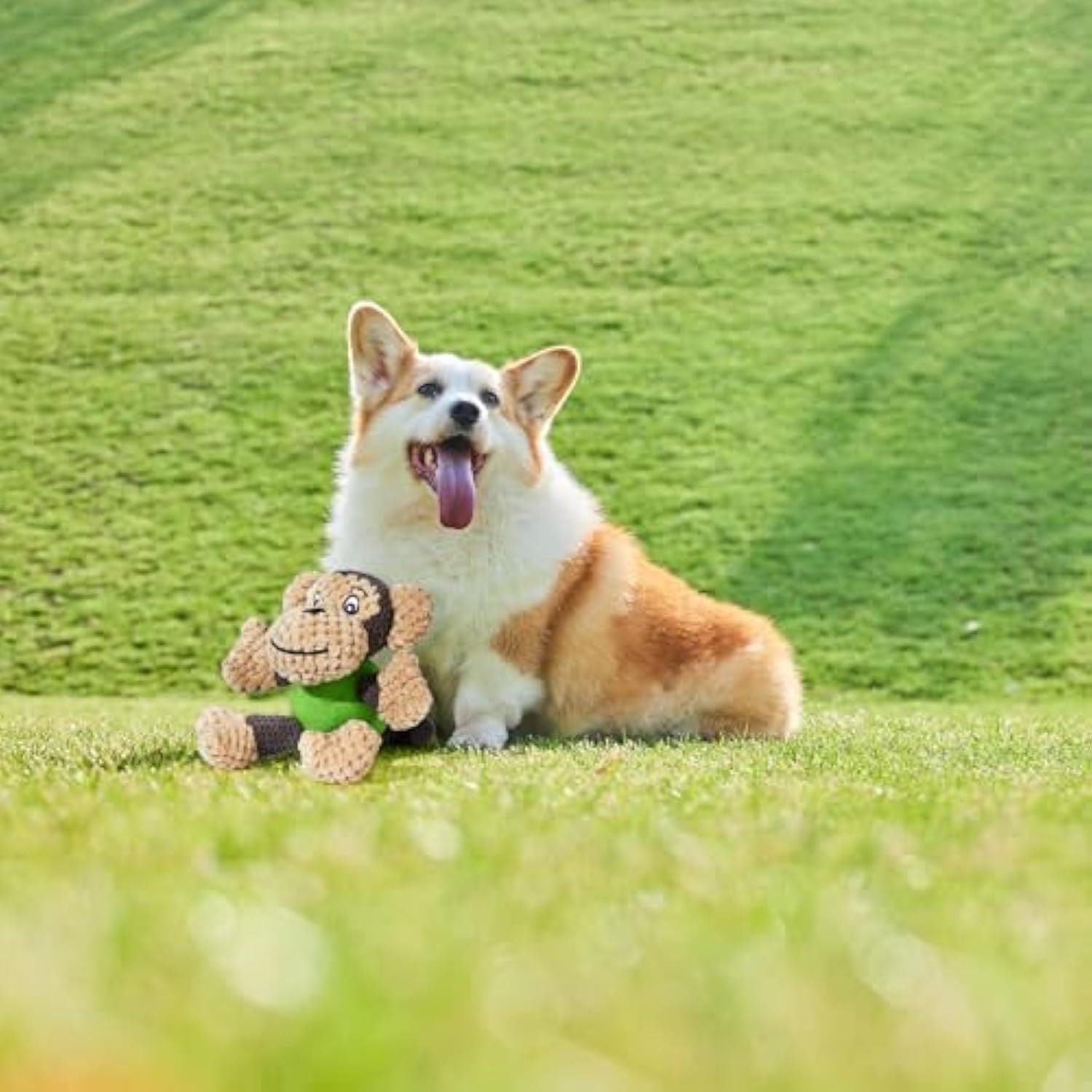 JMT-836234 Squeaky Plush Monkey Dog Toy for Small to Medium Dogs - Durable, Chew-Resistant, and Machine Washable