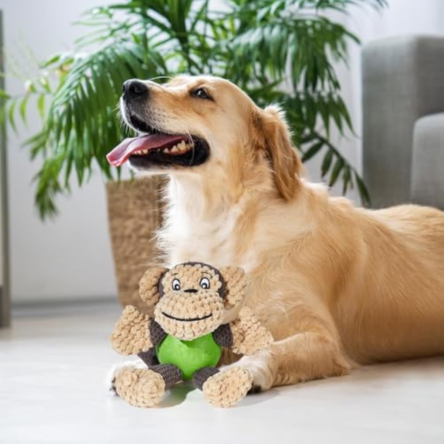 JMT-836234 Squeaky Plush Monkey Dog Toy for Small to Medium Dogs - Durable, Chew-Resistant, and Machine Washable