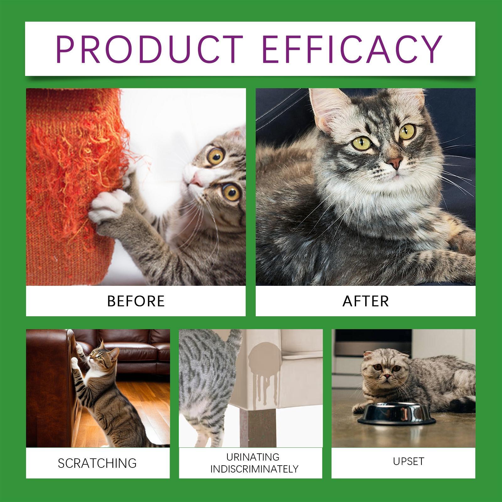 JMT-839178 Cat Emotional Care Set for Soothing and Calming During Estrus and Irritability