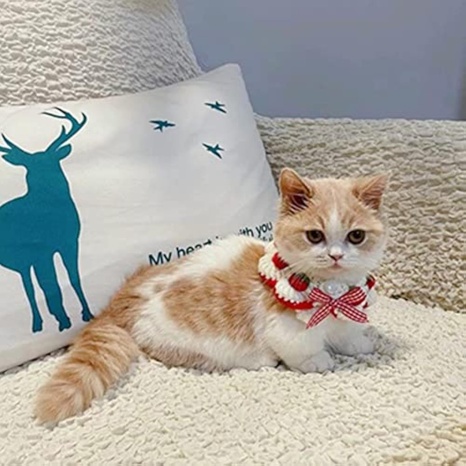 JMT-842506 Strawberry Print Cat Collar with Breakaway Buckle and Bow Tie for Kittens and Small Dogs