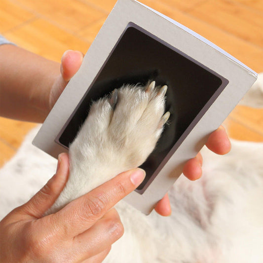 JMT-844618 Personalized Fingerprint Rubbing Postcard Photo Album for Kids and Pets
