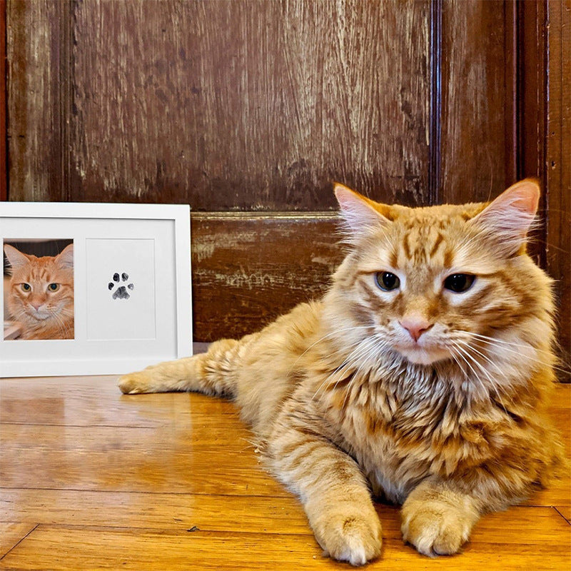 JMT-844618 Personalized Fingerprint Rubbing Postcard Photo Album for Kids and Pets