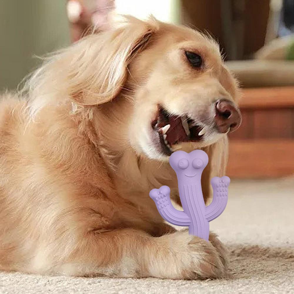 JMT-846282 Ultra Durable Cactus Chew Toy for Puppies and Dogs - Interactive Boredom Buster