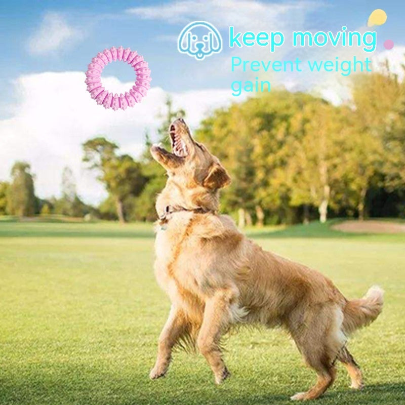 JMT-846602 Pet Foam Ring Molar Toy for Dogs - Durable TPR Material in Blue, Pink, Yellow