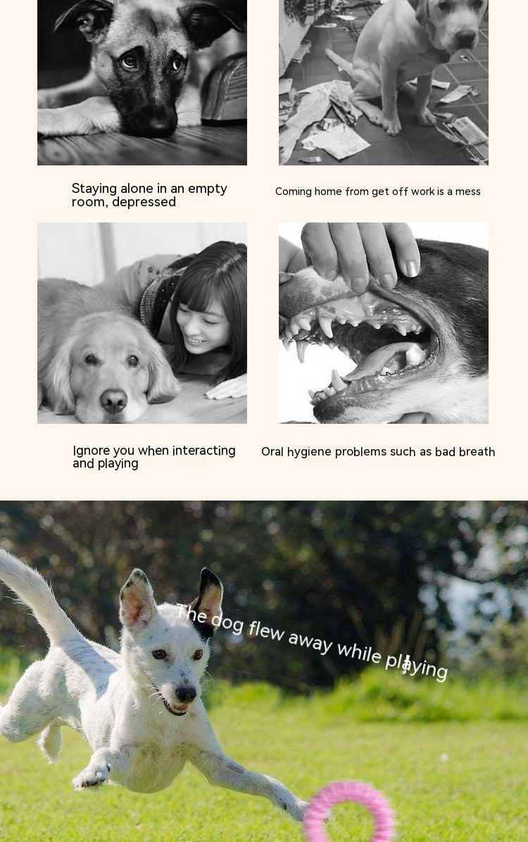 JMT-846602 Pet Foam Ring Molar Toy for Dogs - Durable TPR Material in Blue, Pink, Yellow