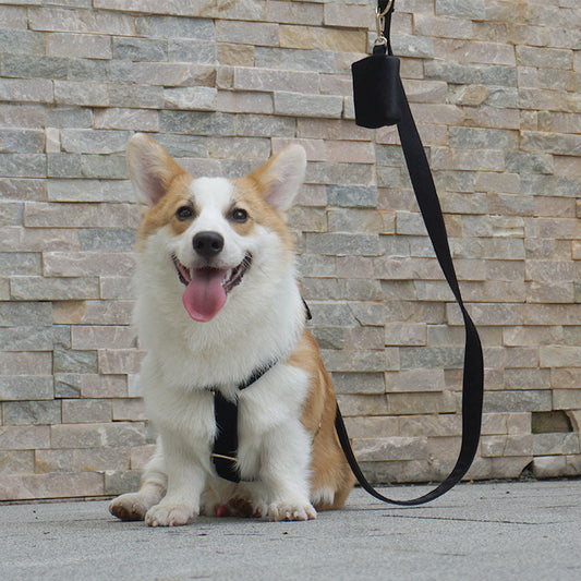 JMT-847946 Pet Outing Chest Strap in Pink Velvet, Black Velvet, Cream Velvet, and Gem Green Velvet - Available in Sizes XS, S, M, and L