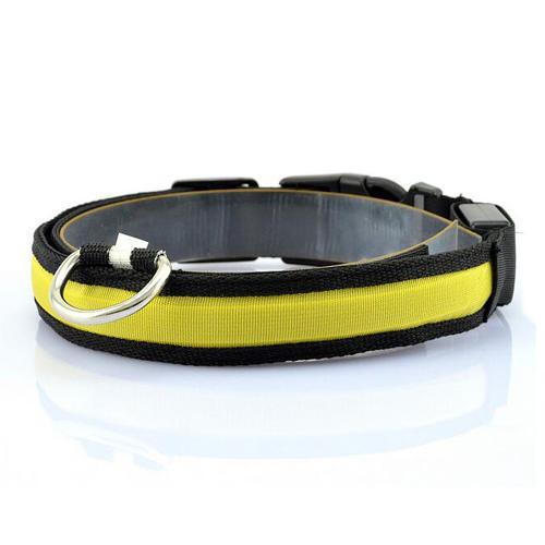 JMT-851722 Vibrant LED Light-Up Dog and Cat Collar with Replaceable Battery and USB Charging