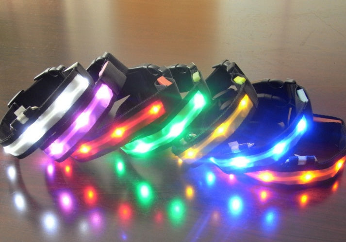 JMT-851722 Vibrant LED Light-Up Dog and Cat Collar with Replaceable Battery and USB Charging