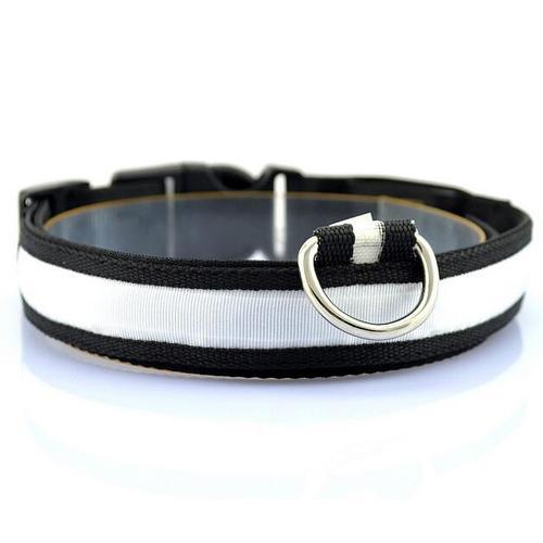 JMT-851722 Vibrant LED Light-Up Dog and Cat Collar with Replaceable Battery and USB Charging