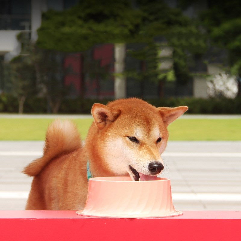 JMT-852234 Melamine Pet Bowl for Dogs and Cats - Healthy Water and Food Dish