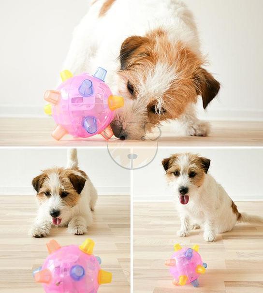 JMT-852362 Dancing Ball Glowing Toy for Dogs - Jumping Light-Up Toy for Interactive Play and Mental Stimulation