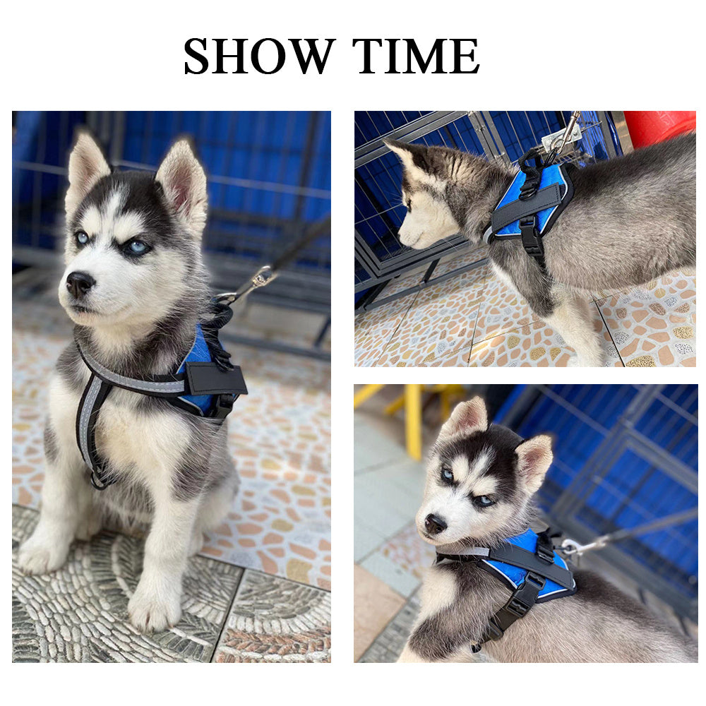 JMT-855690 Durable and Comfortable Pet Chest Harness with Leash - Lightweight, Scalable Design in Red, Black, and Pink