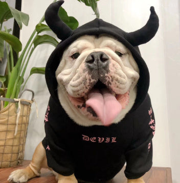 JMT-857290 Halloween Pet Fleece Sweater - Pure Cotton Casual Wear, Multiple Sizes Available