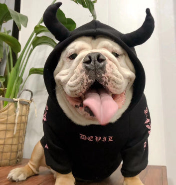 JMT-857290 Halloween Pet Fleece Sweater - Pure Cotton Casual Wear, Multiple Sizes Available