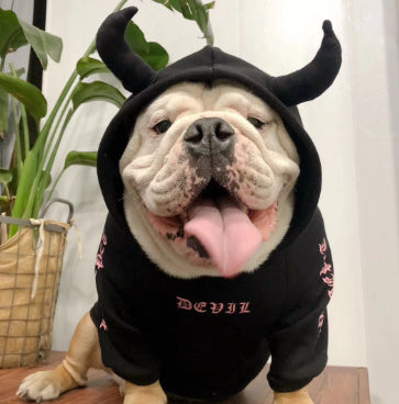 JMT-857290 Halloween Pet Fleece Sweater - Pure Cotton Casual Wear, Multiple Sizes Available