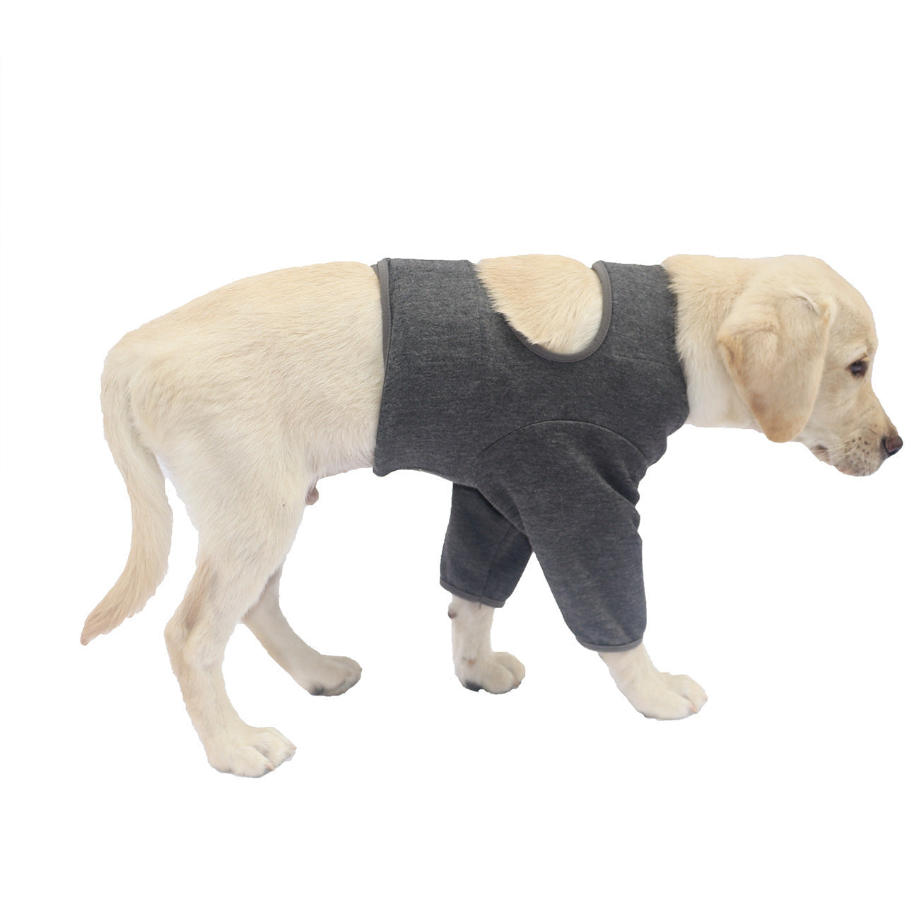 JMT-863050 Comfortable Pet Front Leg Sleeve Wrap for Healing Support - Anti-Licking Elbow Brace for Dogs