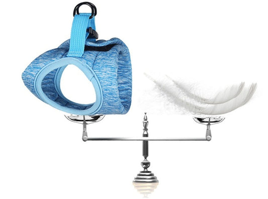 JMT-864906 Lightweight Cat Harness with 1.2m Leash in Dark Gray or Blue Options