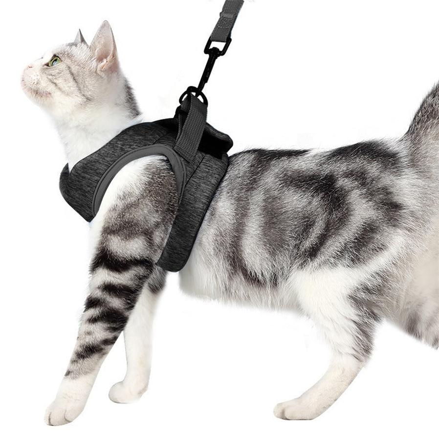 JMT-864906 Lightweight Cat Harness with 1.2m Leash in Dark Gray or Blue Options