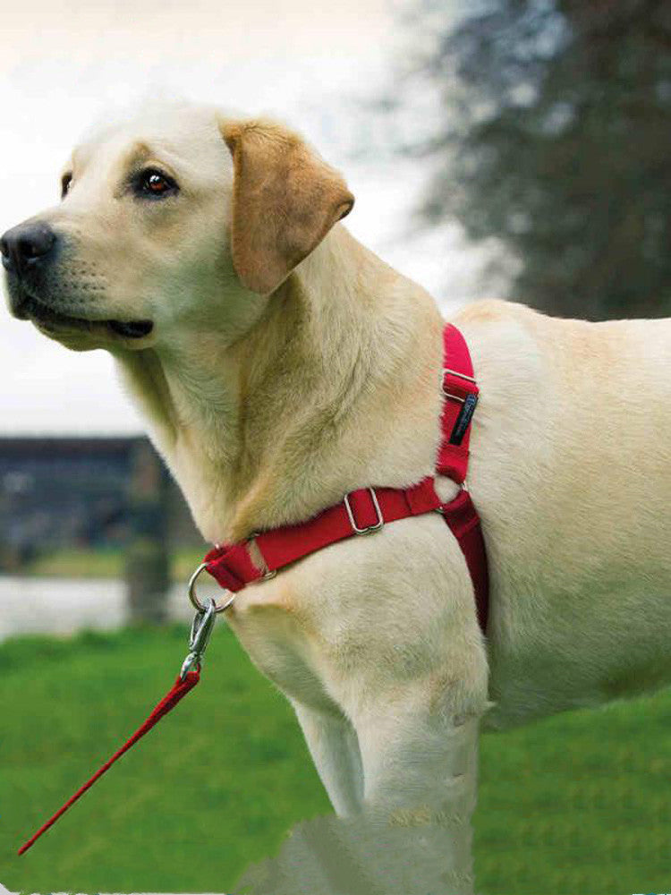 JMT-865226 Adjustable Nylon Dog Walking Collar in Black and Red - Sizes XS to XL Available