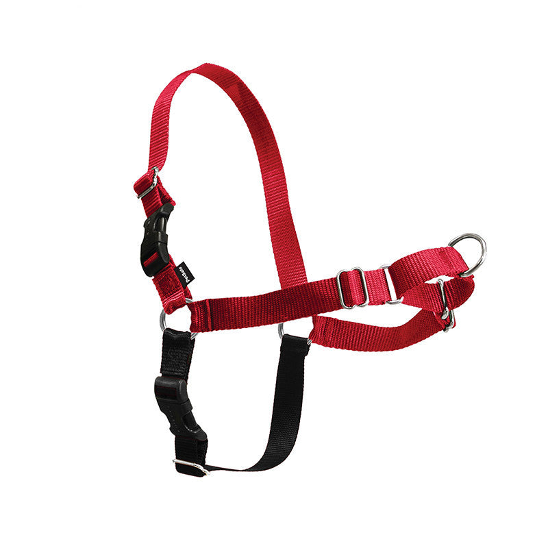 JMT-865226 Adjustable Nylon Dog Walking Collar in Black and Red - Sizes XS to XL Available