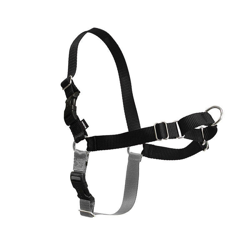 JMT-865226 Adjustable Nylon Dog Walking Collar in Black and Red - Sizes XS to XL Available